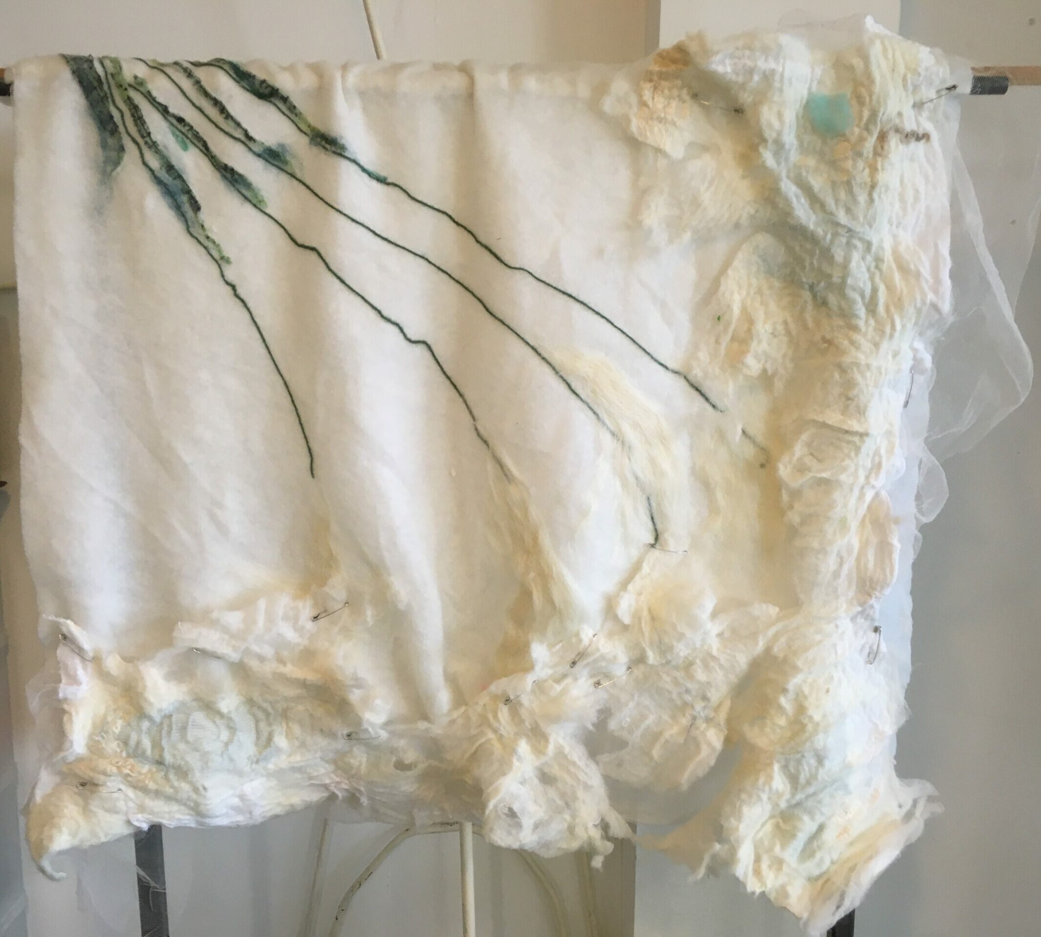 achtergrond papegaai ?